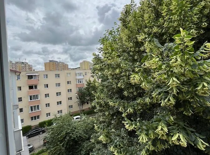 Апартаменты Chic